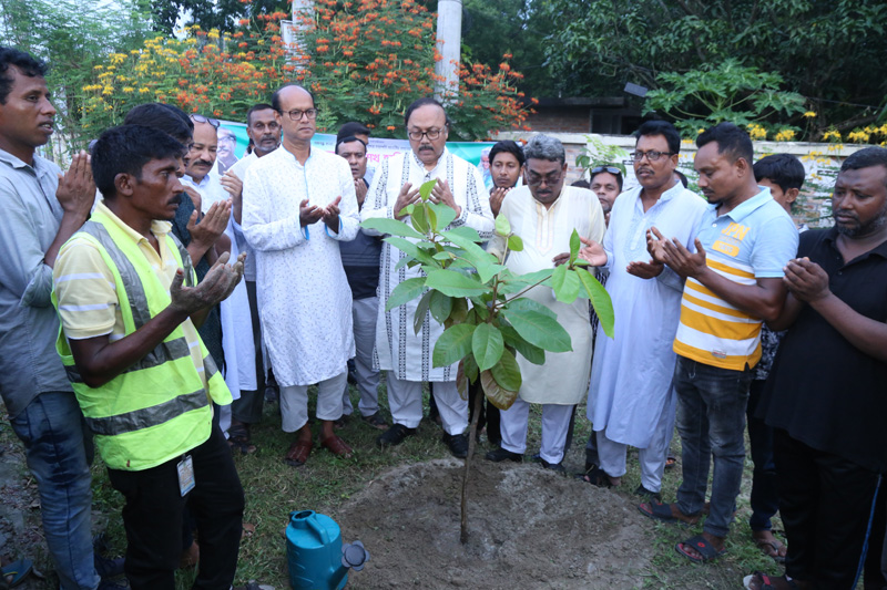 প্রধানমন্ত্রীর জন্মদিনে রাসিকের বৃক্ষরোপণ কর্মসূচি